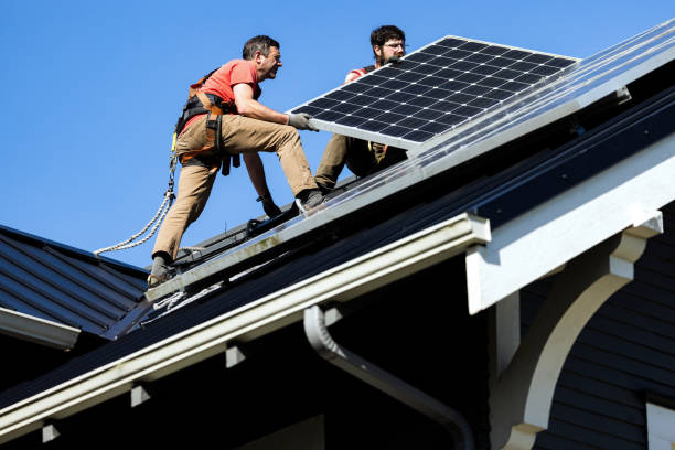 Best Roof Moss and Algae Removal  in Destin, FL